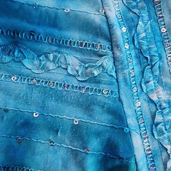 Dress Barn Blue Sleeveless Shirt with Sequins and Raised Embroidered Design Sz L - Picture 7 of 8